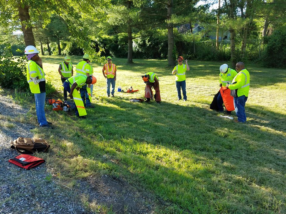 Teaching Chainsaw Safety