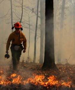 Illinois Prescribed Burn