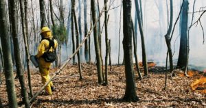 Illinois Prescribed Burn