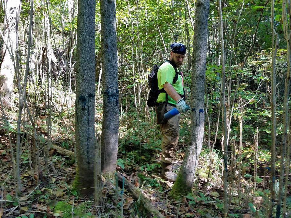 Southern Illinois Forest Management