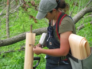 Tree Planting and Protection