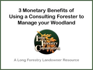 Benefits of a Consulting Forester