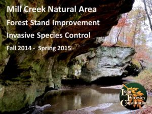 Mill Creek Natural Area Restoration Project